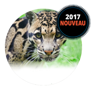 nouveauté 2017 >