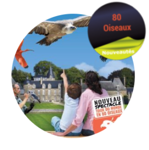 Oiseaux