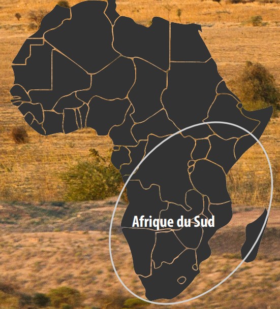 carte afrique du sud guépard