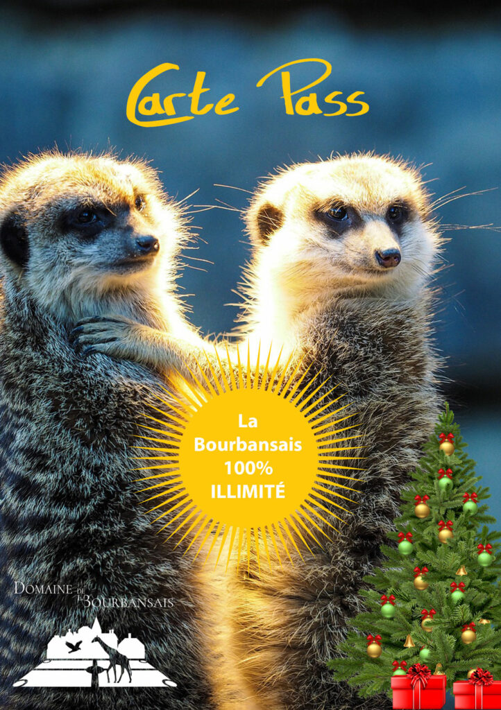 Carte Pass Domaine de La Bourbansais - Idées cadeaux de Noël