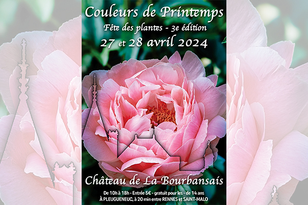 Colorful Geraniums Blooming at the 2025 Festivities